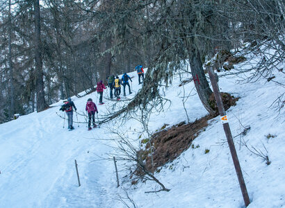 Départ de Serre Eyraud : La cabane de tante Yvonne le 25012024, DSC_0137