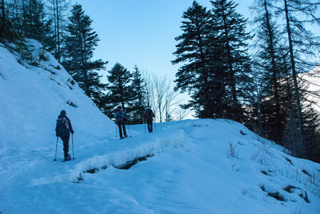 Départ de Serre Eyraud : La cabane de tante Yvonne le 25012024, DSC_0145