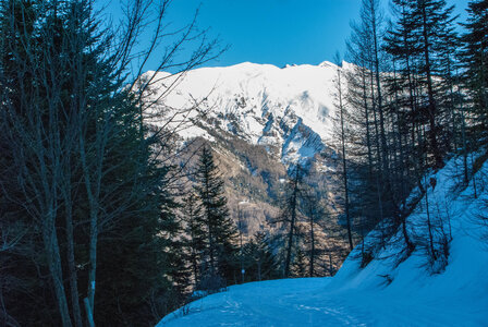 Départ de Serre Eyraud : La cabane de tante Yvonne le 25012024, DSC_0146