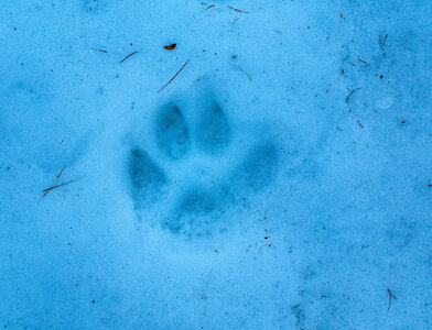 Départ de Serre Eyraud : La cabane de tante Yvonne le 25012024, DSC_0148