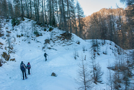 Départ de Serre Eyraud : La cabane de tante Yvonne le 25012024, DSC_0149