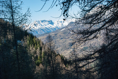 Départ de Serre Eyraud : La cabane de tante Yvonne le 25012024, DSC_0150