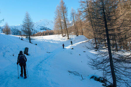 Départ de Serre Eyraud : La cabane de tante Yvonne le 25012024, DSC_0152