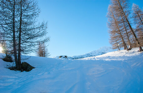 Départ de Serre Eyraud : La cabane de tante Yvonne le 25012024, DSC_0153