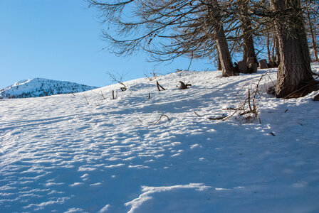 Départ de Serre Eyraud : La cabane de tante Yvonne le 25012024, DSC_0154