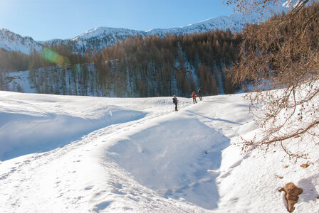 Départ de Serre Eyraud : La cabane de tante Yvonne le 25012024, DSC_0161