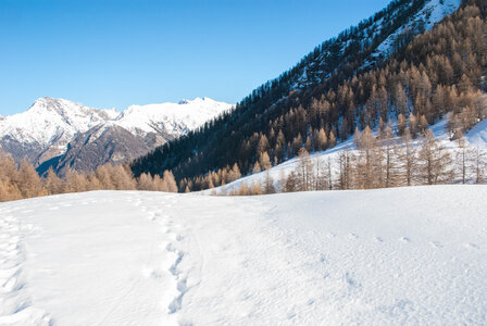 Départ de Serre Eyraud : La cabane de tante Yvonne le 25012024, DSC_0163