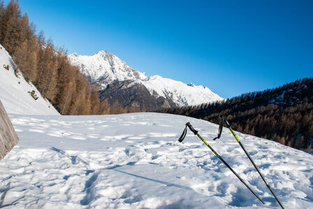 Départ de Serre Eyraud : La cabane de tante Yvonne le 25012024, DSC_0166