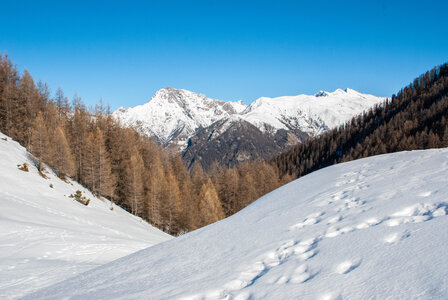 Départ de Serre Eyraud : La cabane de tante Yvonne le 25012024, DSC_0172