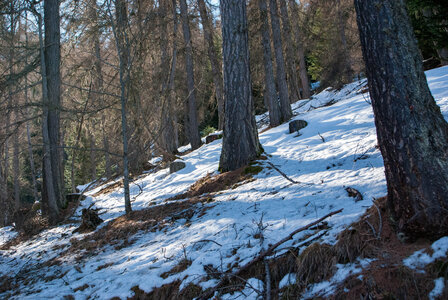 Départ de Serre Eyraud : La cabane de tante Yvonne le 25012024, DSC_0184