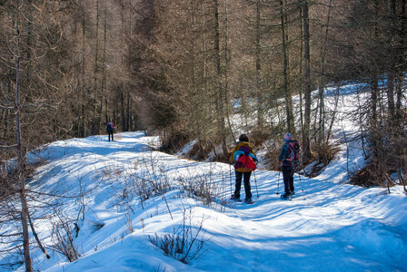 Départ de Serre Eyraud : La cabane de tante Yvonne le 25012024, DSC_0185