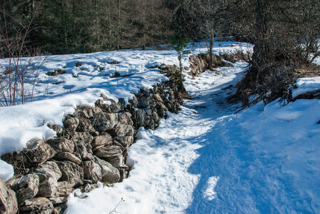 Départ de Serre Eyraud : La cabane de tante Yvonne le 25012024, DSC_0192