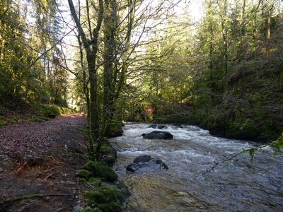 Gimel-les-cascades (Corrèze) - 25 janvier 2024, 20240125-140600-47