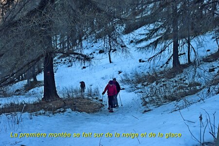 Cabane de l'Aupette, Cabane et Crête de l’Aupette 032  12 