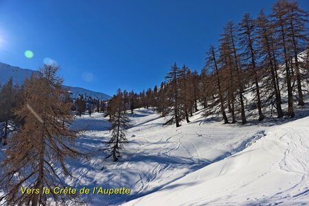 Cabane de l'Aupette, Cabane et Crête de l’Aupette 032  23 