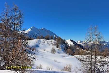 Cabane de l'Aupette, Cabane et Crête de l’Aupette 032  32 