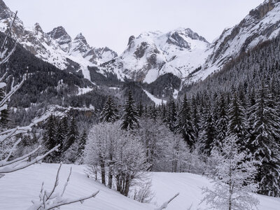 21-25-01-24_Pralognan la vanoise, _1093954