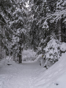 21-25-01-24_Pralognan la vanoise, _1093955