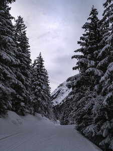 21-25-01-24_Pralognan la vanoise, _1093961