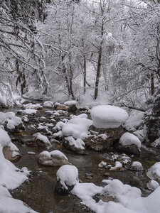 21-25-01-24_Pralognan la vanoise, _1093969