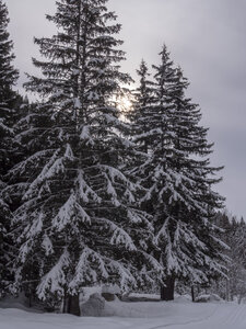21-25-01-24_Pralognan la vanoise, _1093971