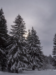 21-25-01-24_Pralognan la vanoise, _1093972