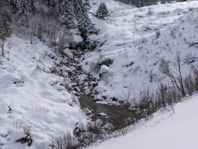21-25-01-24_Pralognan la vanoise, _1093978