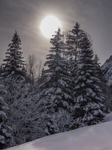 21-25-01-24_Pralognan la vanoise, _1093984