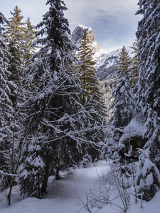 21-25-01-24_Pralognan la vanoise, _1093987