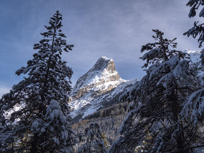 21-25-01-24_Pralognan la vanoise, _1093988