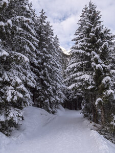 21-25-01-24_Pralognan la vanoise, _1093996