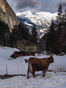 21-25-01-24_Pralognan la vanoise, _1094098
