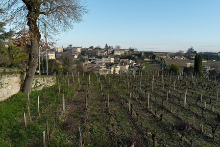 @fmbdx@piaille.fr 2024, Saint-Emilion, Gironde