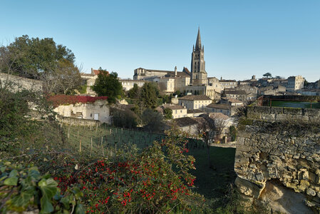 @fmbdx@piaille.fr 2024, Saint-Emilion, Gironde