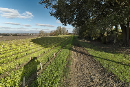 @fmbdx@piaille.fr 2024, Saint-Emilion, Gironde