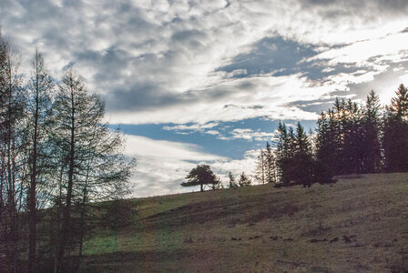 Col Bayard - boucle du golf le 30 janvier 2024, DSC_0001