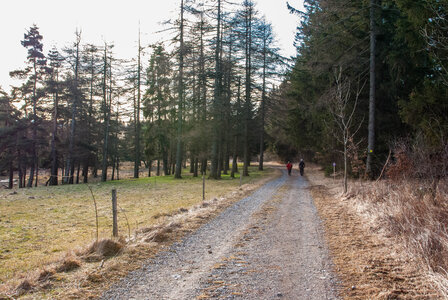 Col Bayard - boucle du golf le 30 janvier 2024, DSC_0005