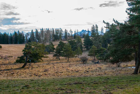 Col Bayard - boucle du golf le 30 janvier 2024, DSC_0006
