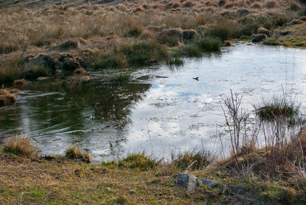 Col Bayard - boucle du golf le 30 janvier 2024, DSC_0007