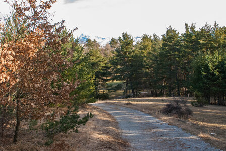 Col Bayard - boucle du golf le 30 janvier 2024, DSC_0019