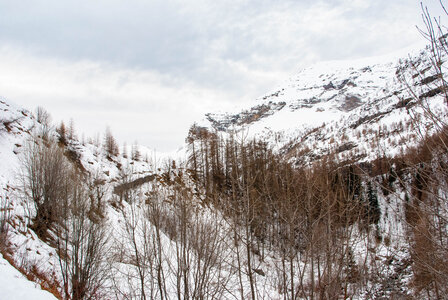 PRAPIC Cabanes de Terce le 1er février 2024, DSC_0042