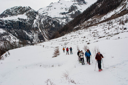 PRAPIC Cabanes de Terce le 1er février 2024, DSC_0047