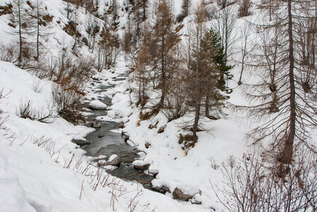 PRAPIC Cabanes de Terce le 1er février 2024, DSC_0055