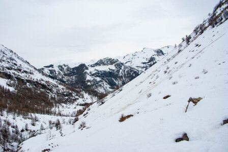 PRAPIC Cabanes de Terce le 1er février 2024, DSC_0061