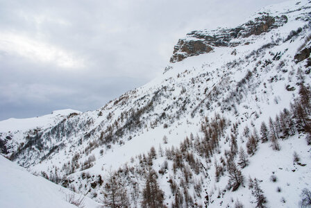 PRAPIC Cabanes de Terce le 1er février 2024, DSC_0069