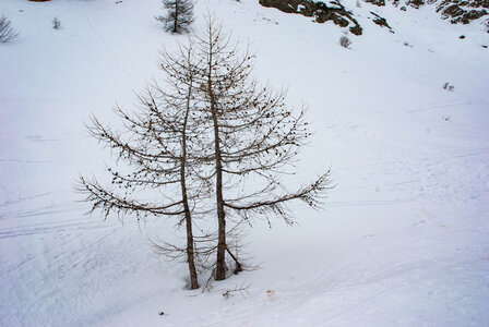 PRAPIC Cabanes de Terce le 1er février 2024, DSC_0092