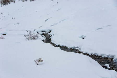 PRAPIC Cabanes de Terce le 1er février 2024, DSC_0110