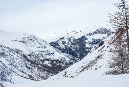 PRAPIC Cabanes de Terce le 1er février 2024, DSC_0118