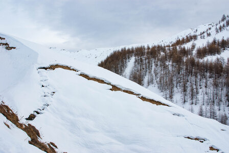 PRAPIC Cabanes de Terce le 1er février 2024, DSC_0121