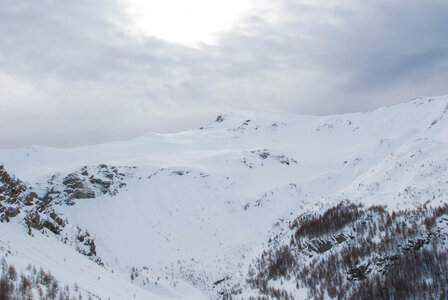 PRAPIC Cabanes de Terce le 1er février 2024, DSC_0124